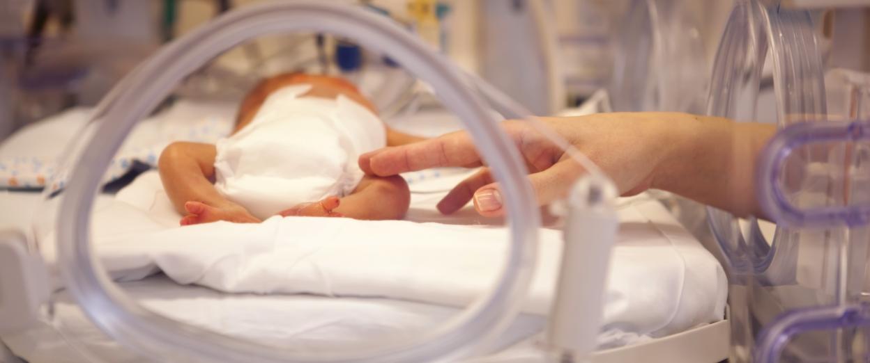 parent's hand touching premature baby in the NICU