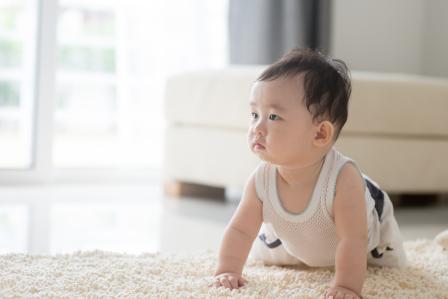 a baby practicing crawling on a well lit living room on a soft rug