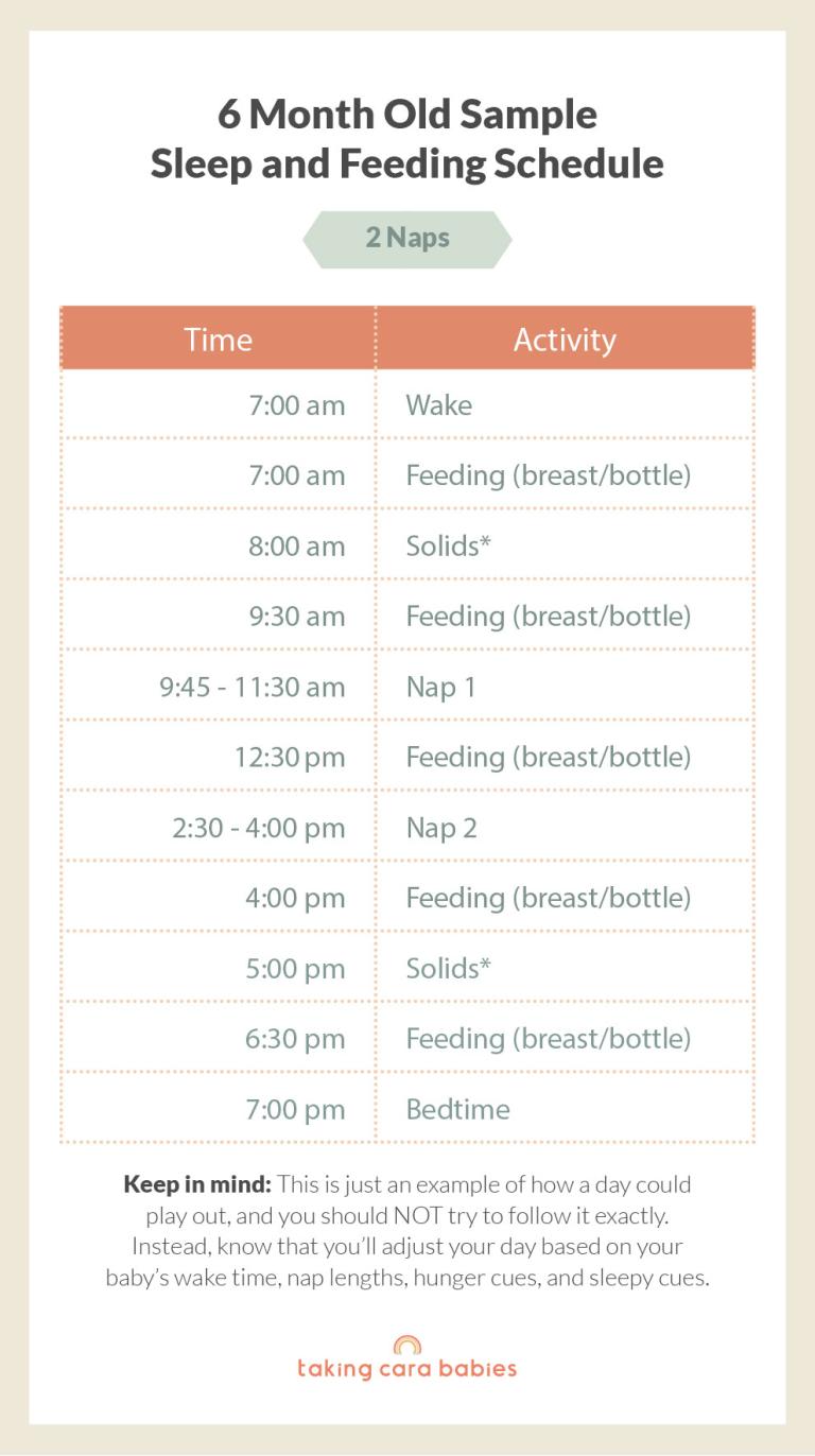 6 month old sample schedule