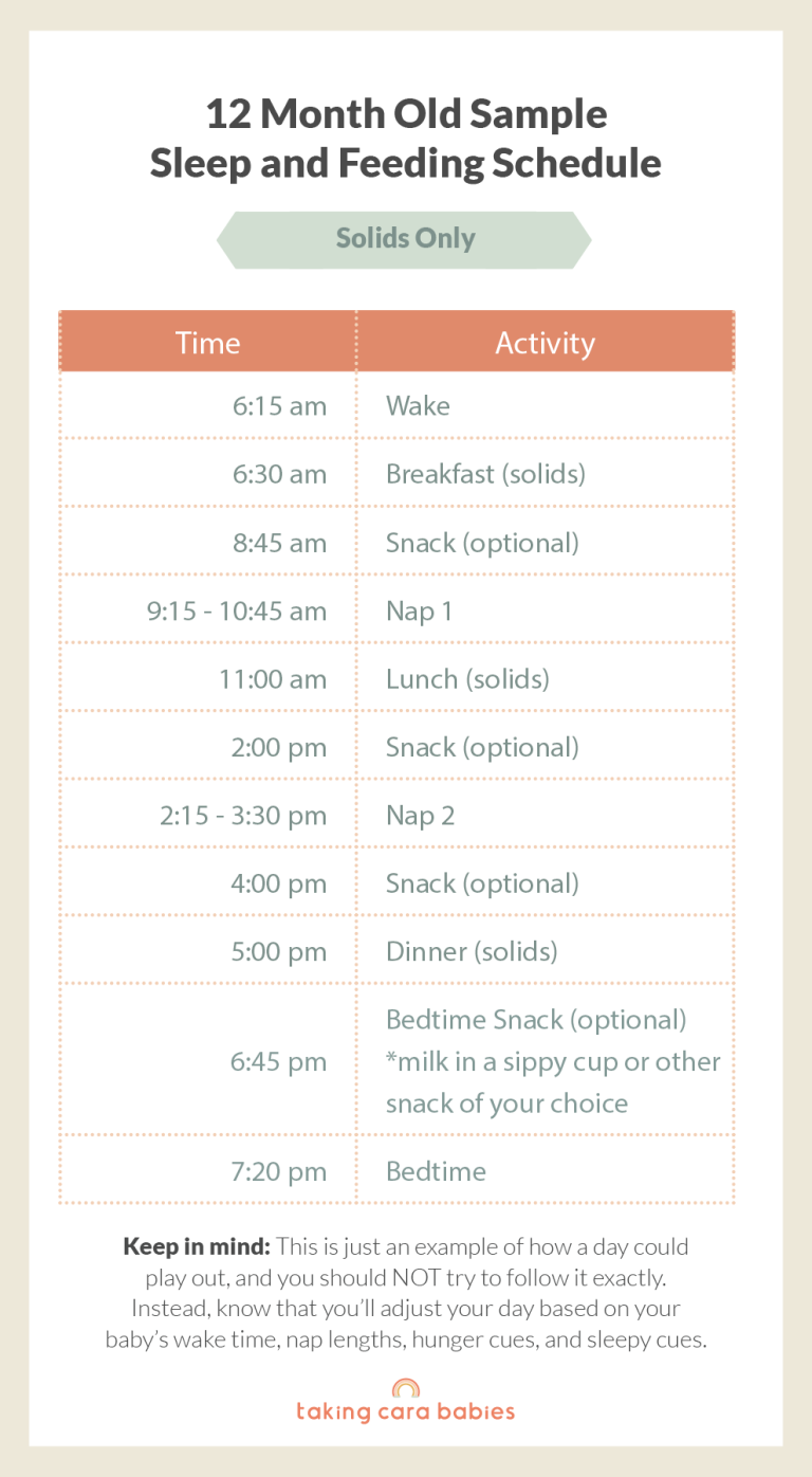 12 Month Old Sample sleep and feeding schedule on solids only