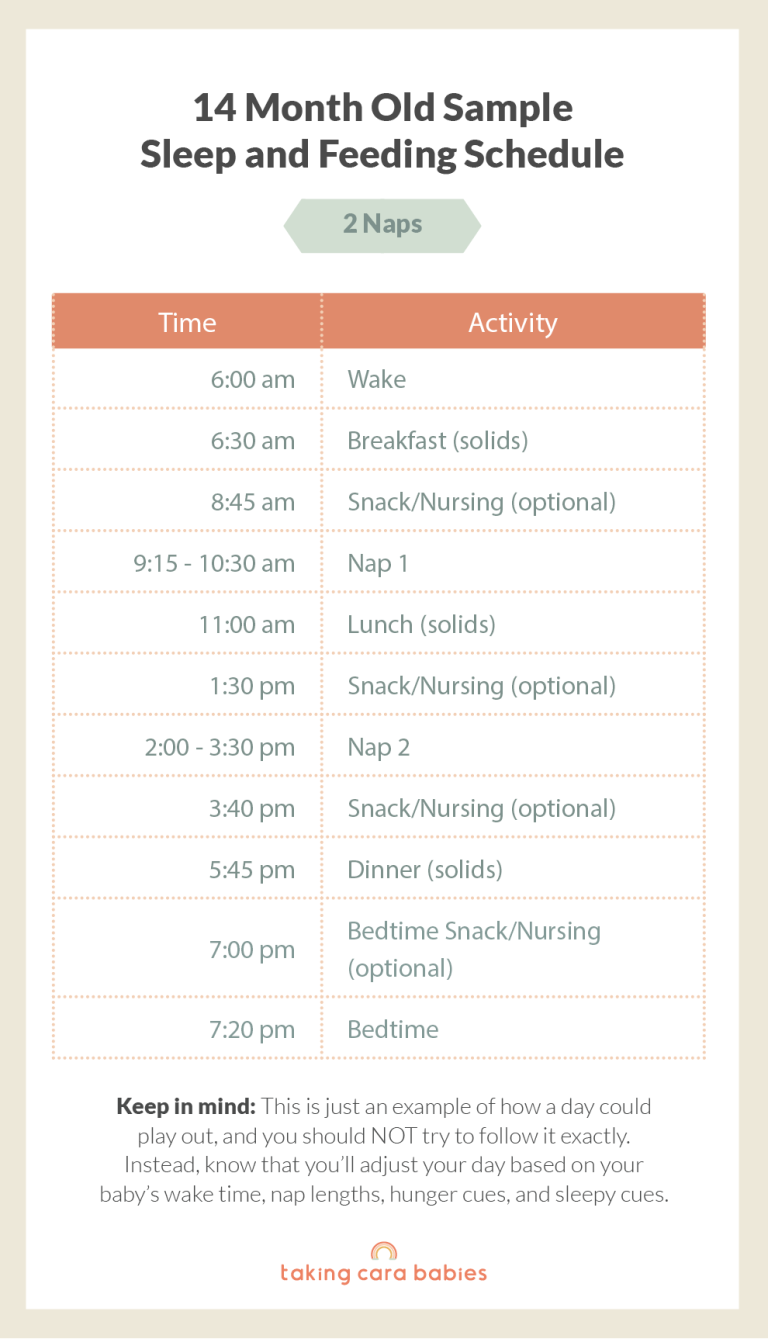 14 Month Old Sample sleep and feeding Schedule on 2 Naps