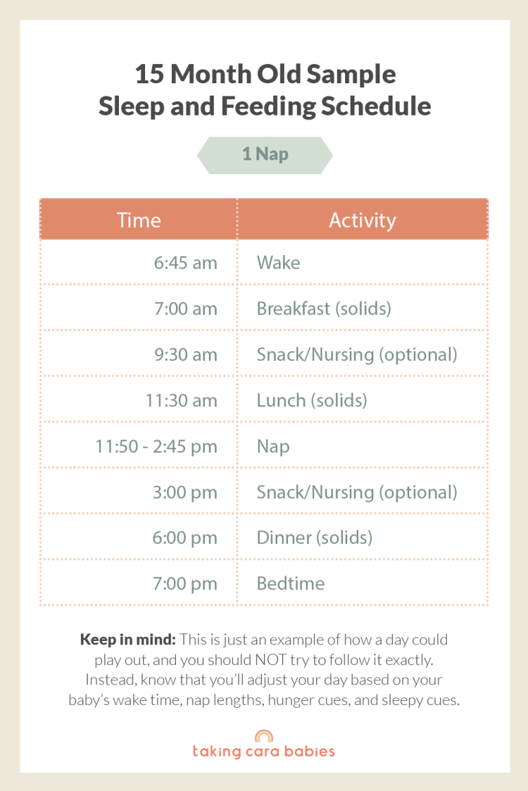 15 Month Old Sample Sleep and Feeding Schedule on 1 Nap