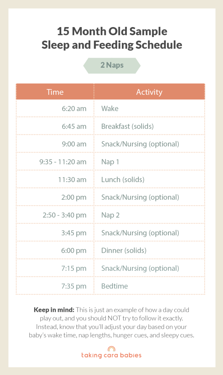 15 Month Old Sample Sleep and Feeding Schedule on 2 Naps