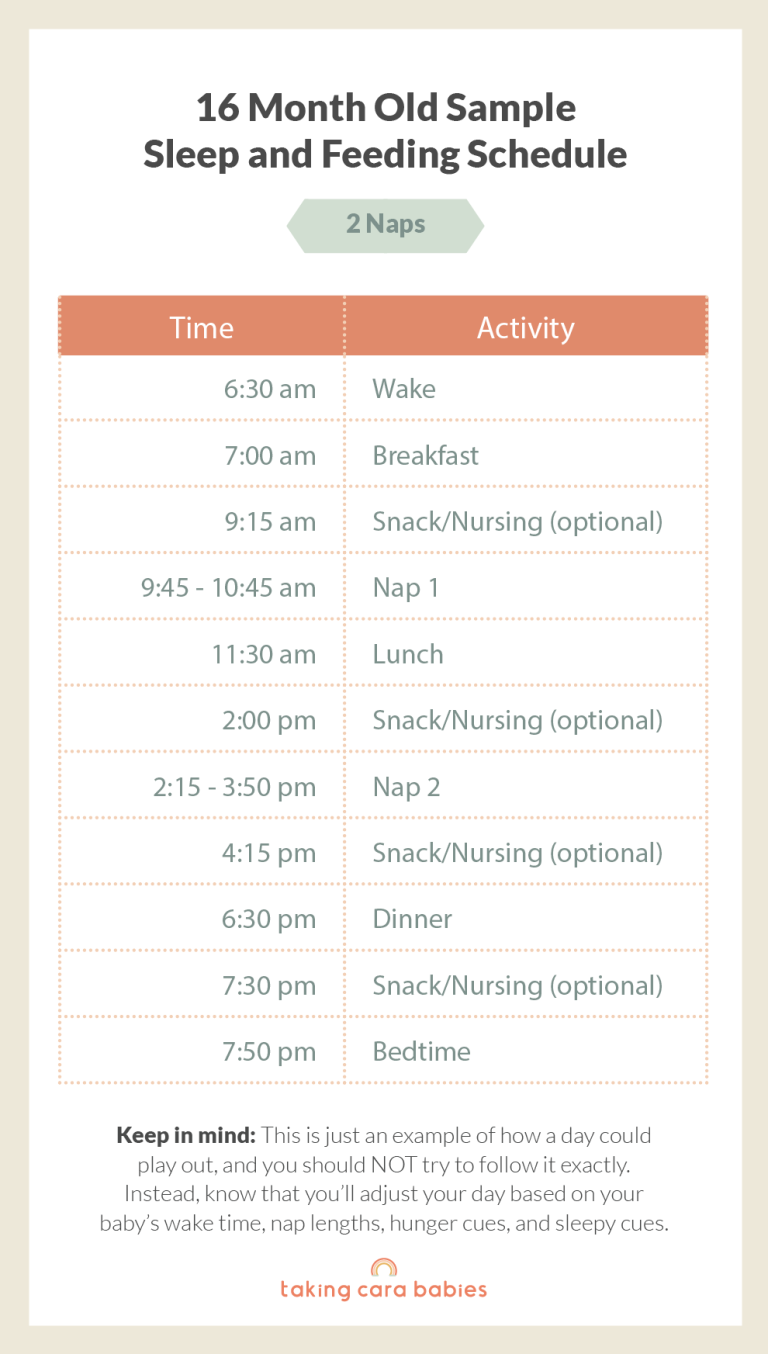 16 Month Old Sample Sleep and Feeding Schedule on 2 Naps
