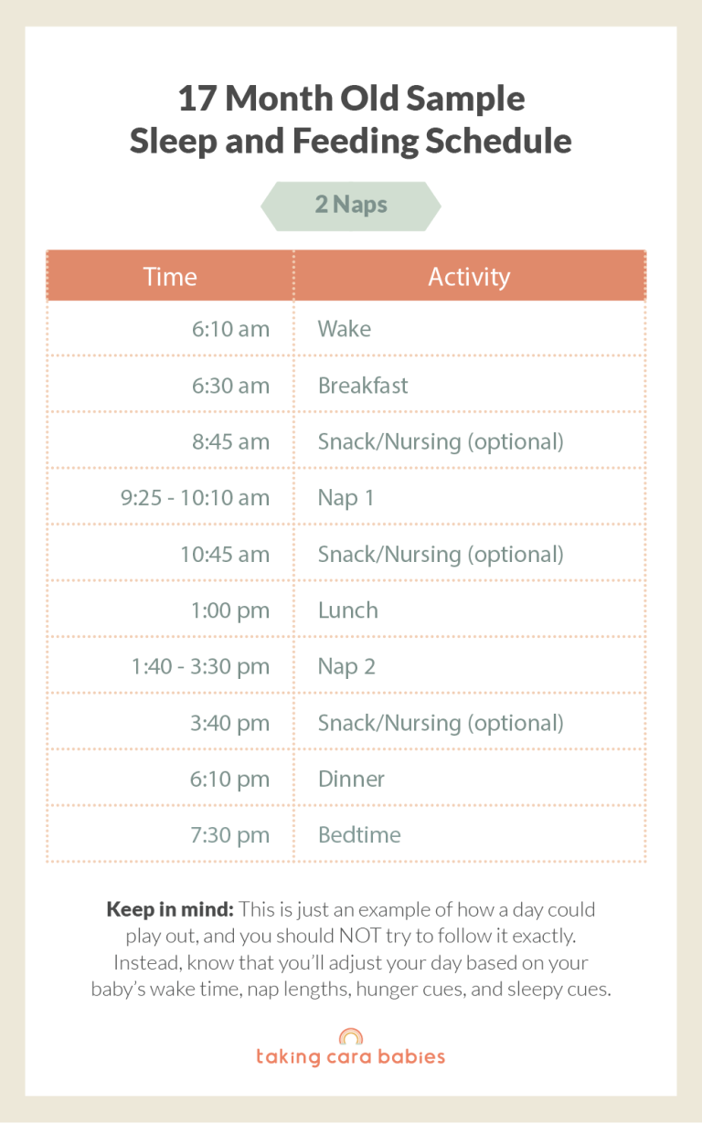 17 Month Old Sample Sleep and Feeding Schedule on 2 Naps