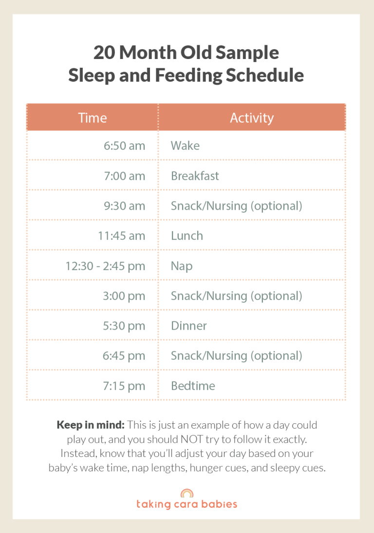 20 Month Old Sample Schedule