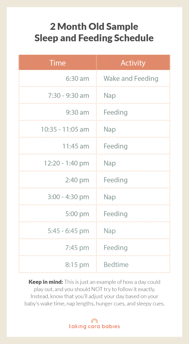 2 Month Old Sample Schedule