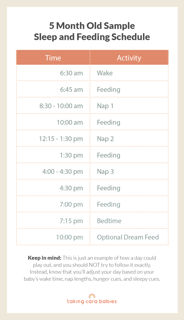 5 Month Old Sample Schedule
