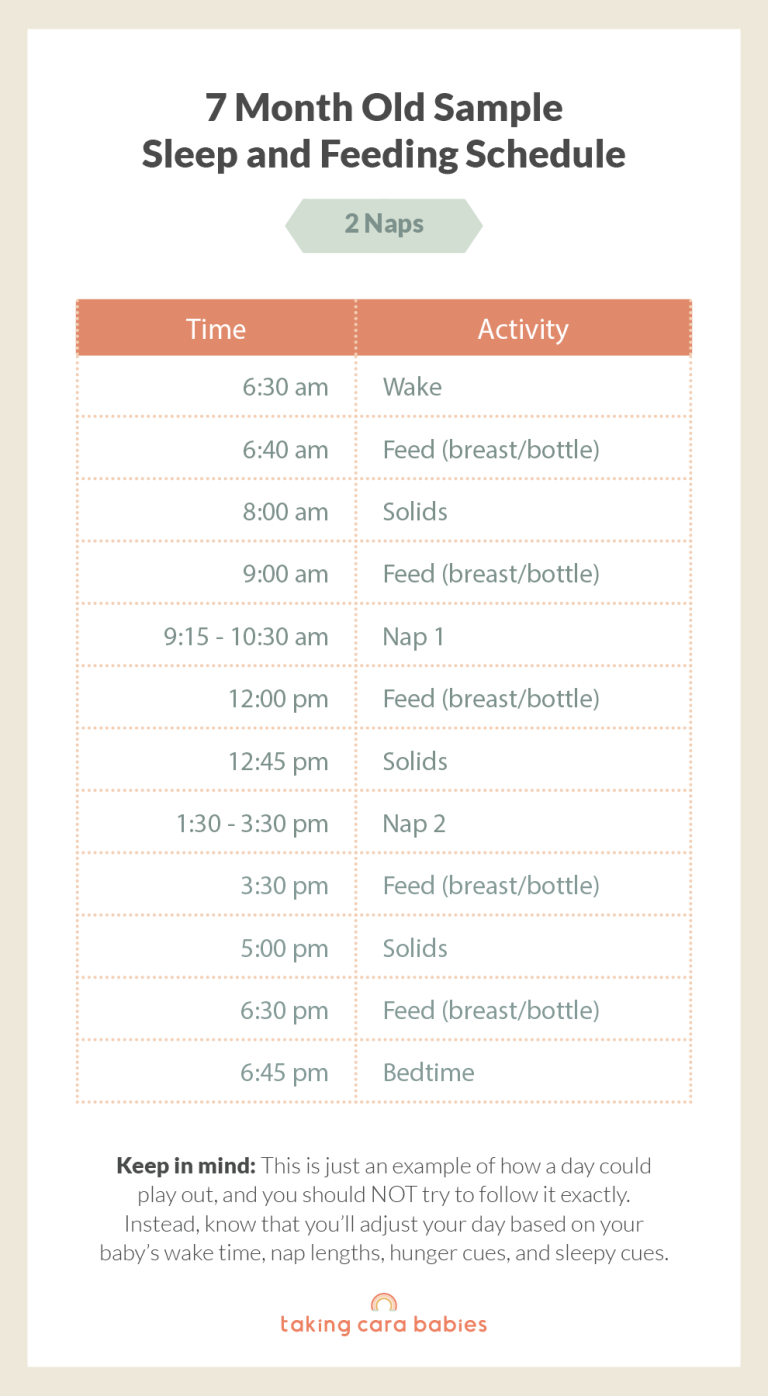 7 month old schedule on 2 naps
