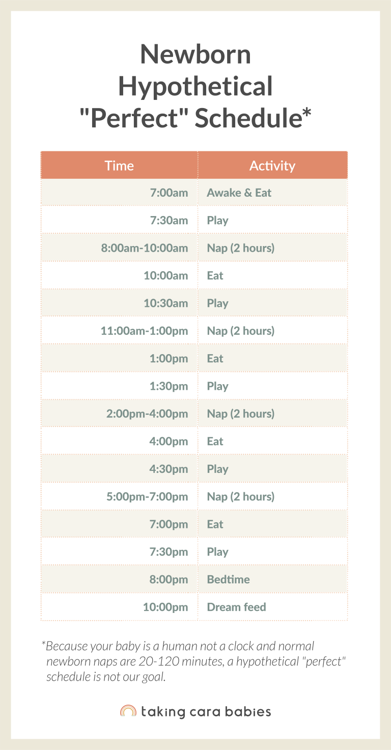 Hypothetical "Perfect" newborn schedule
