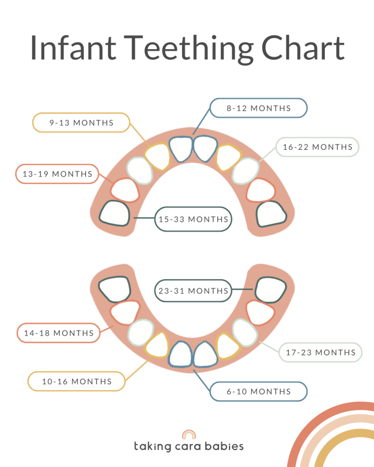 Infant Teething Chart
