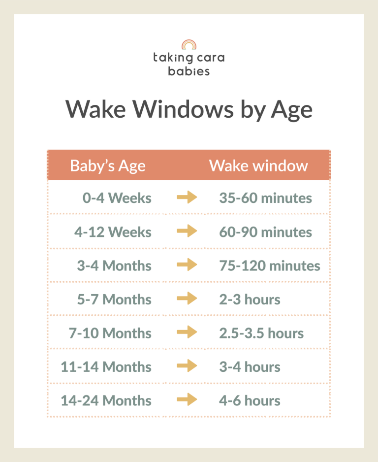 wake windows by age
